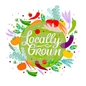 Locally grown. Vector illustration, locavore food. Organic vegetables, lettering with calligraphy. Tomatoes, green peas