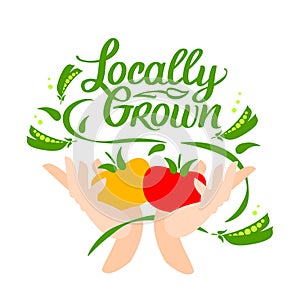 Locally grown. Vector logo, locavore food. Lettering with calligraphy with vegetable. Hands hold tomatoes and peas. For