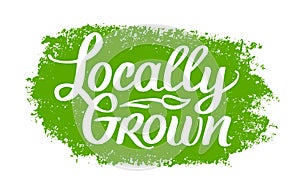 Locally Grown, vector logo template. Hand Drawn brush lettering with plant. Label, brand emblem for organic food