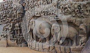 Mamallapuram, with its striking bas-reliefs and stone temples, is an open-air museum. India