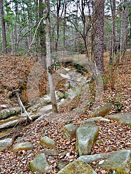 Boykin Springs Recreation Area in Texas