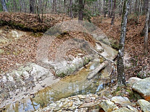 Boykin Springs Recreation Area in Texas