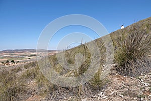 Landscape with white Windmill on hill in Consuegra, Spain photo