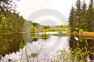 Loch Ard, Trossachs National Park, Stirling District, Scotland, United Kingdom