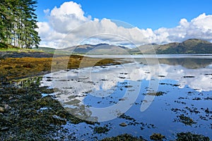 Loch Creran, a saltwater loch in Central Scotland