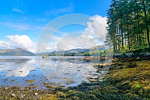 Loch Creran, a saltwater loch in Central Scotland