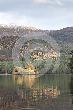 Loch an Eilein in the Cairngorms National Park of Scotland