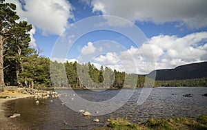 Loch an Eilein in the Cairngorms National Park of Scotland