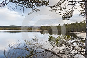 Loch Garten in the Cairngorms National Park.