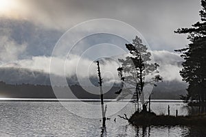 Loch Garten in the Cairngorms National Park of Scotland