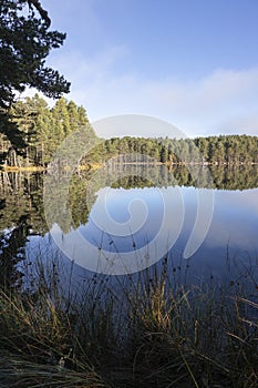 Loch Garten in the Cairngorms National Park of Scotland