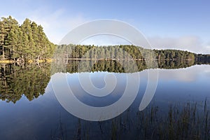 Loch Garten in the Cairngorms National Park of Scotland