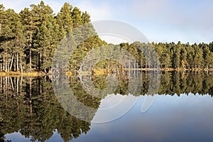 Loch Garten in the Cairngorms National Park of Scotland