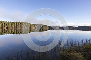 Loch Garten in the Cairngorms National Park of Scotland