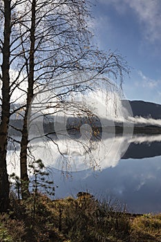 Loch Garten in the Cairngorms National Park of Scotland