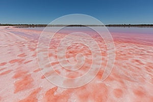 Loch Lel - pink lake in Australia.