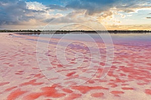 Loch Lel - pink lake at sunset, Victoria, Australia