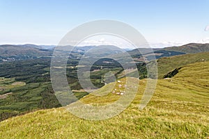 Loch Linnhe and Loch Eil from Finnish-aig Viewpoint - Scotland