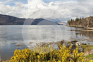 Loch Linnhe -Scotland