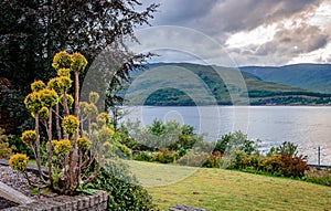 Loch Linnhe, scottish landscape