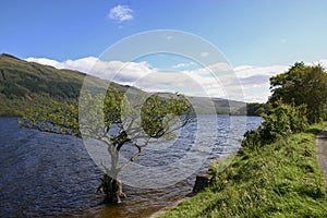 Loch Lomond from Firkin Point
