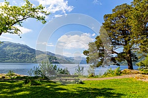 Loch Lomond at rowardennan, Summer in Scotland, UK