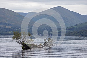 Loch Lomond Scotland UK. Focus on a tiny island