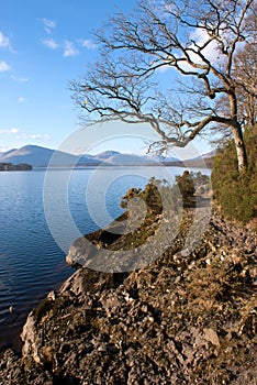 Loch Lomond shoreline