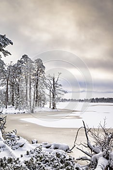 Loch Mallachie Winter In Scotland.