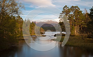 Loch Morlich in the evening sun