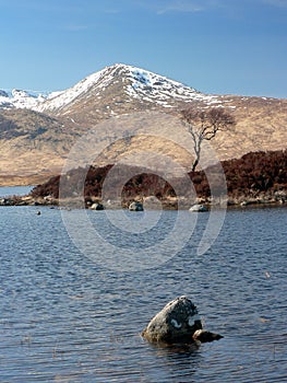 Loch Nah-Achlaise Island with Highlands mountains