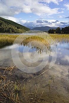 Loch Pityoulish in the Cairngorms National Park of Scotland