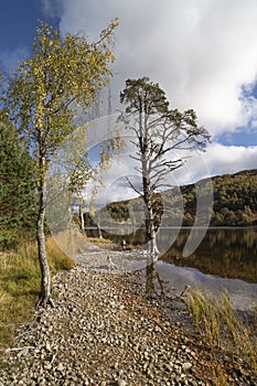 Loch Pityoulish in the Cairngorms National Park of Scotland