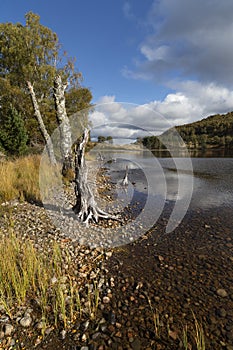 Loch Pityoulish in the Cairngorms National Park of Scotland