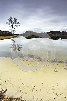 Loch Pityoulish in the Cairngorms National Park of Scotland