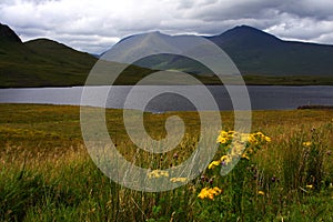 Loch and wetland, scotland