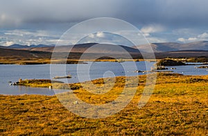 Lochan Na H-Achlaise and Rannoch Moor in Glen Coe