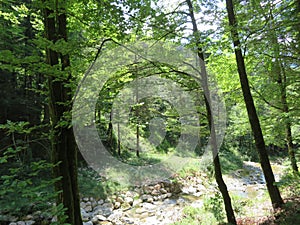 Lochgraben near Aschau in the Chiemgau