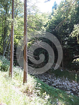 Lochgraben near Aschau in the Chiemgau