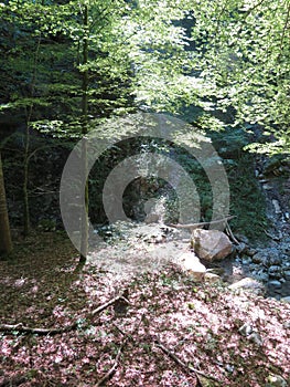 Lochgraben near Aschau in the Chiemgau