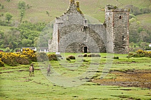 Lochranza Castle
