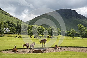 Lochranza Golf Course