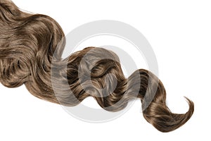 Lock of brown wavy hair on white background