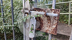 A lock of a gate.