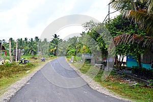 Lockdown - Asphalt Concrete Road with Coconut Trees in Indian Countryside - Green Town Landscape - Neil Island, Andaman Nicobar