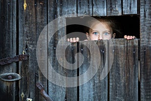 Locked the child anxiously looks through the crack in the barn door. Fright.