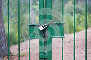 Locked gate of forest field
