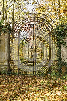 Locked iron gate in the autumn park. Vertically.