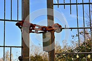 Heavy rusted iron chain on an iron gate