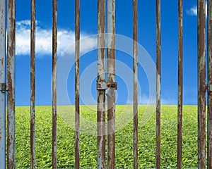 Locked rusty door with beautiful landscape, green meadow blue sk